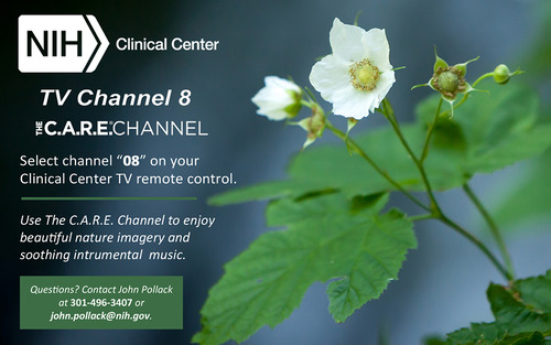 CareChannel (1).jpg