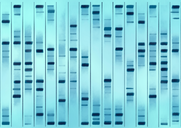 dna 