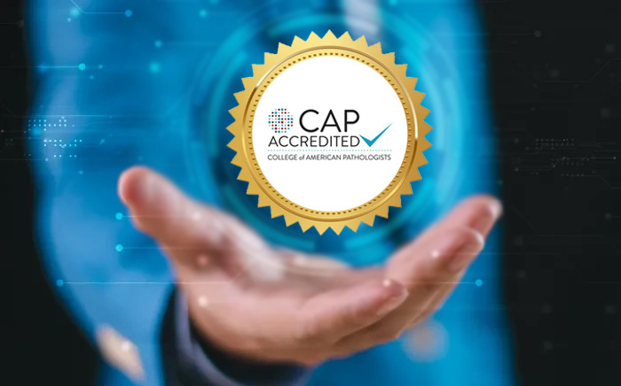 handd holding certification seal