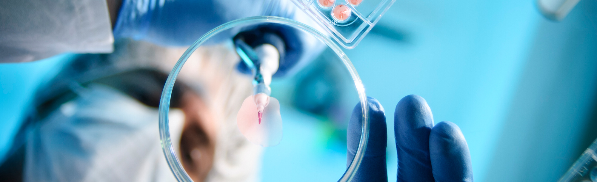 researcher looking at a petri dish