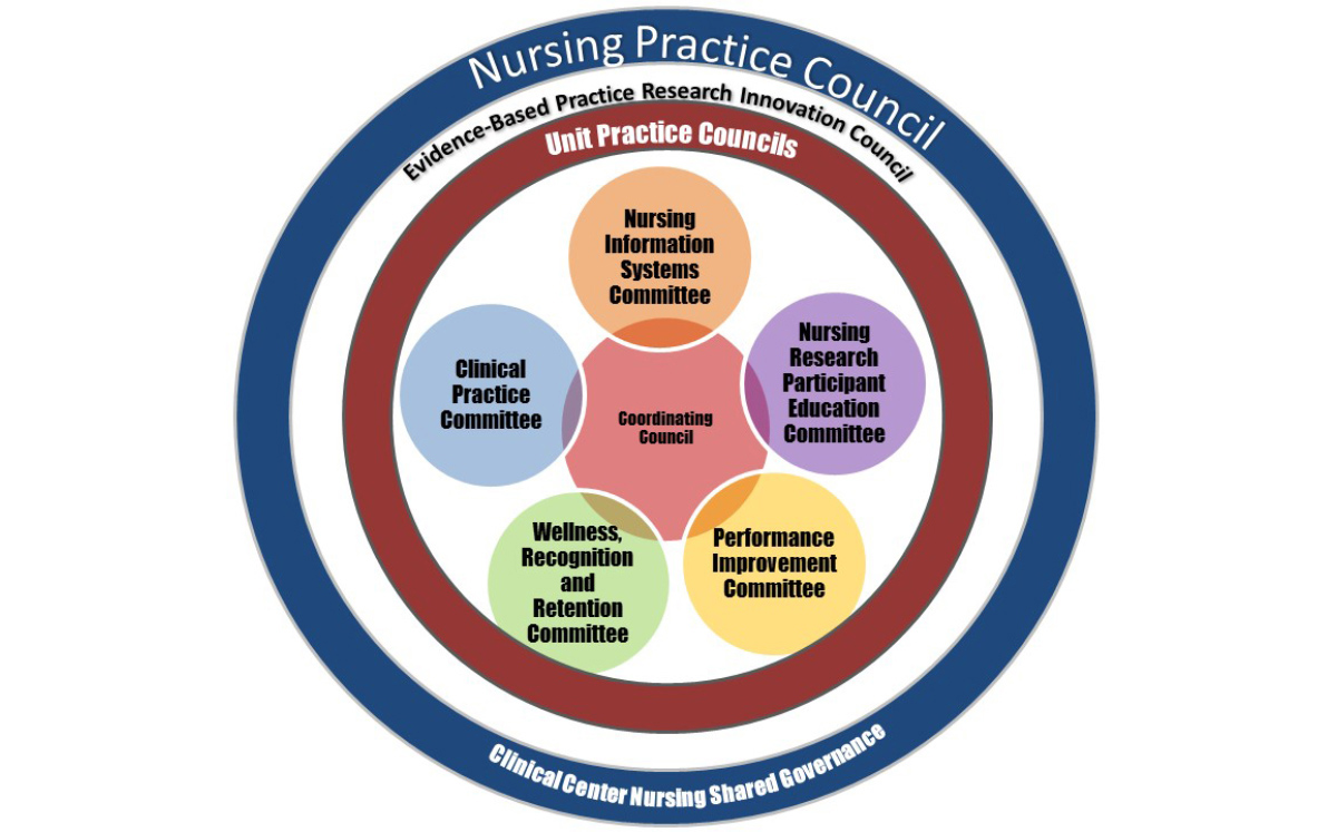shared governance model