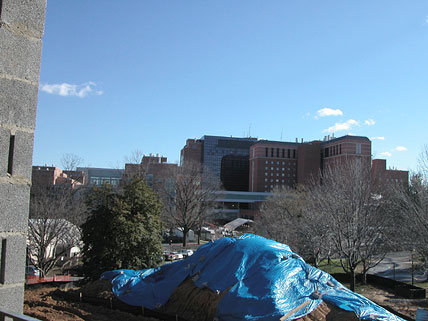 View of Clinical Center Campus "across the street" from the Lodge