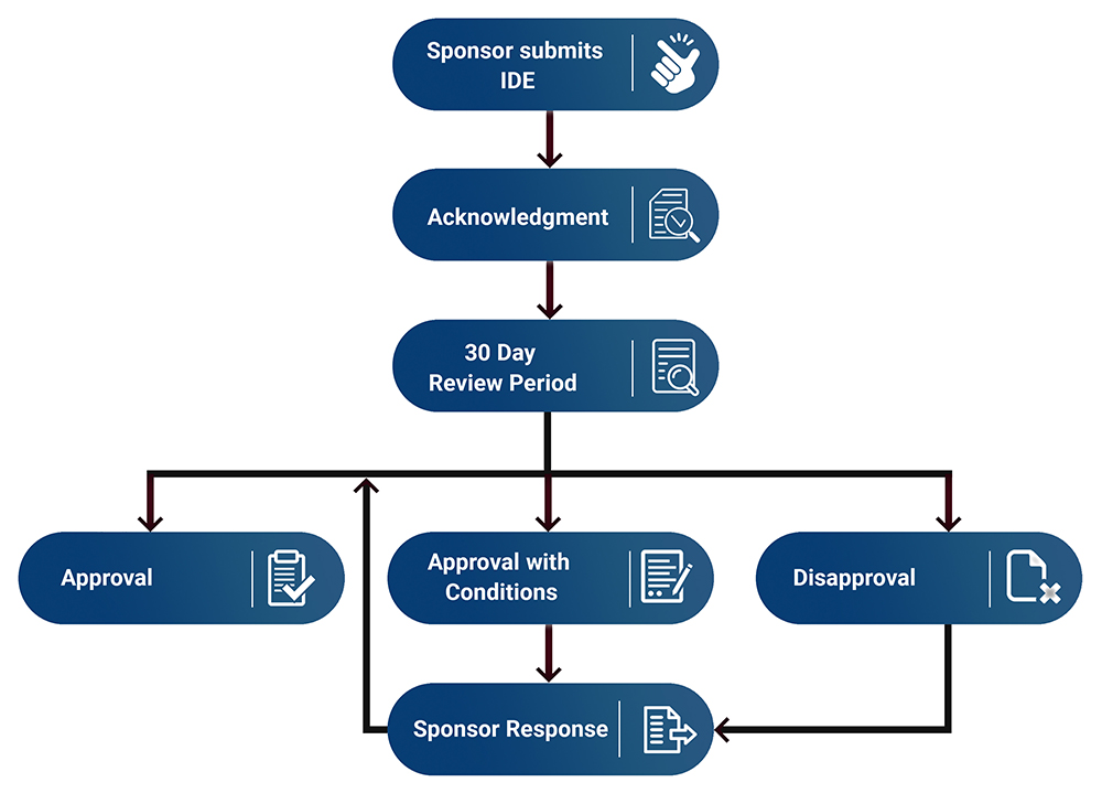 path of FDA responses