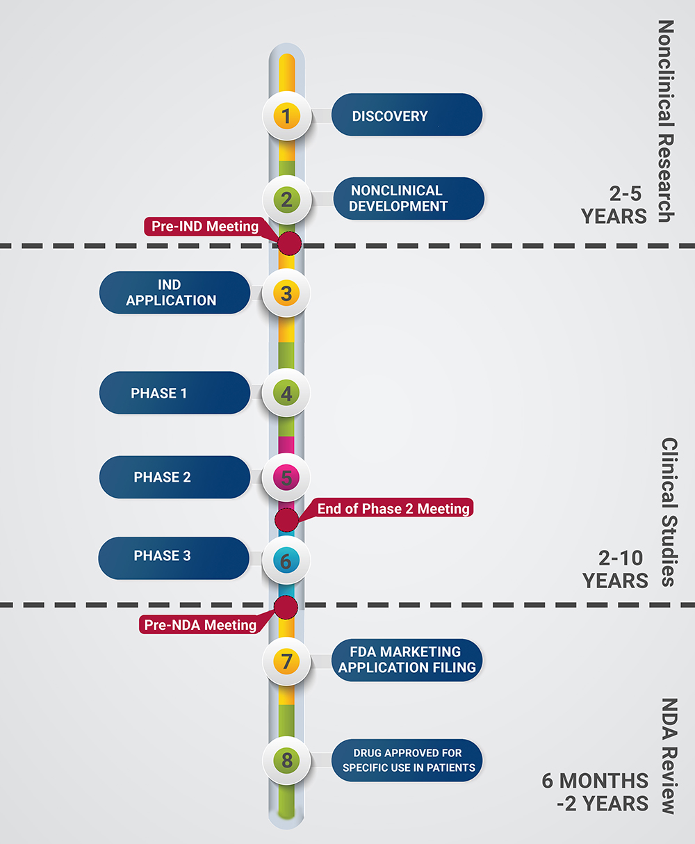 Life Cycle of a New Drug