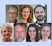 montage of Perioperative Medicine staff