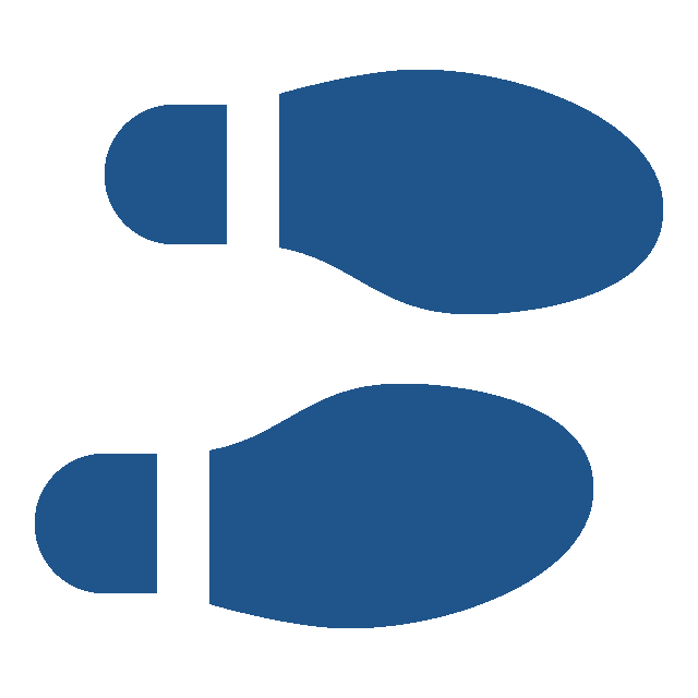 blue shoeprint icon