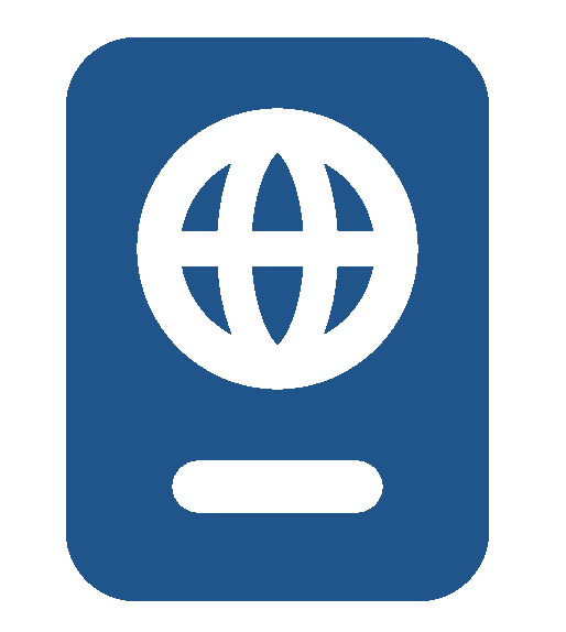 blue visa icon
