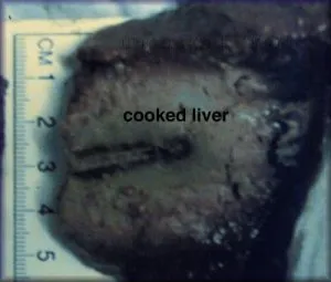 measurement of cooked liver