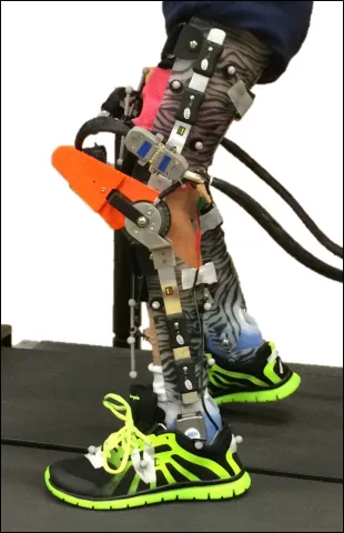 exoskeleton